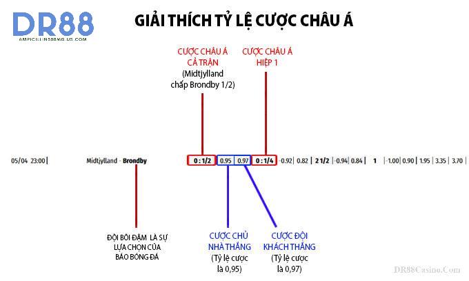 Soi Kèo Là Gì? Bí Kíp Soi Kèo DR88 Chuẩn Từ Chuyên Gia Từ A-Z